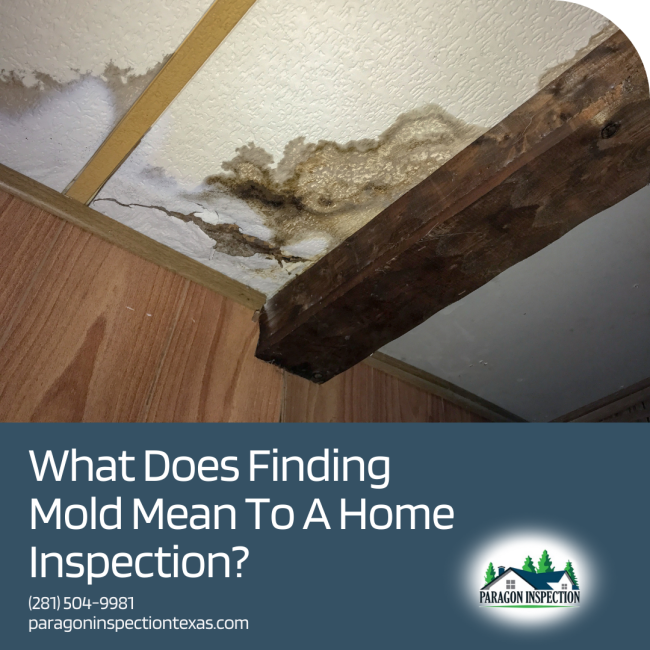 Paragon Inspection What Does Finding Mold Mean To A Home Inspection What Does Finding Mold Mean To The Home Inspection? - Katy TX Home Inspector