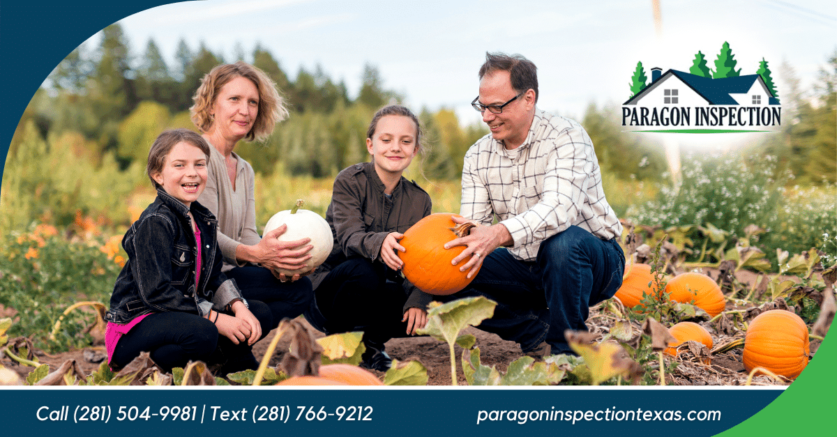 Paragon-Inspection-Fall-banner 10 Fun Fall Activities for Family Bonding - Home Inspection Katy TX
