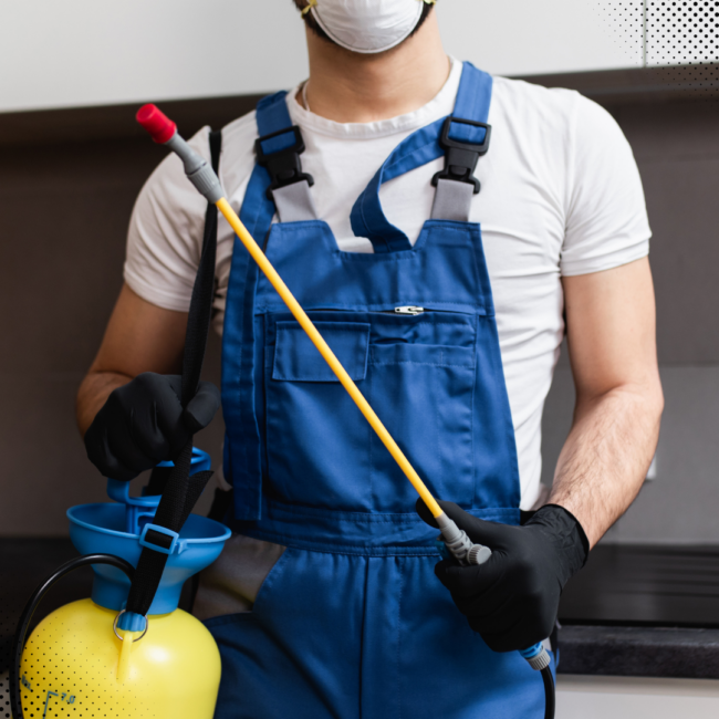 Protect Your Home This Winter: Pest Prevention Tips For Homeowners Protect Your Home This Winter: Pest Prevention Tips For Homeowners - Blog banner