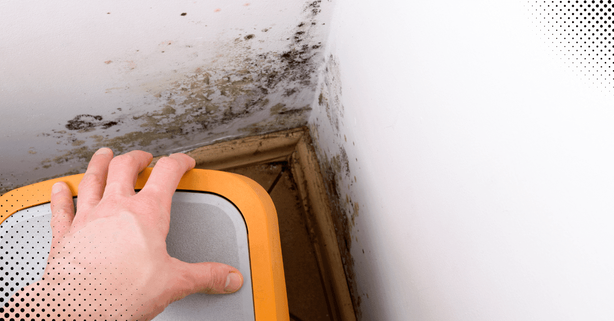 When To Walk Away After The Home Inspection - Home Inspection Katy TX